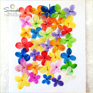 yS-532zFKNAWTC30Ԋz⃌WANZT[ȂǃnhChfނƂĐlCł˂Ŏ肵Ă܂BYïSiłI