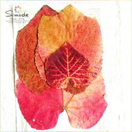 【S-574】山ブドウの葉（紅葉）5枚山ぶどう・山葡萄押し花額やレジンアクセサリー制作などハンドメイド素…