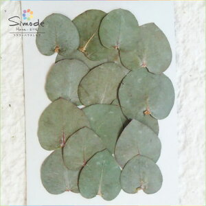 yS-632zԁ@[Jiۗtj15i`f ԍ ԑf Ԋz W t[ Lh A} bNX TVF ޗ EFJ{[h uC_ EFfBO R