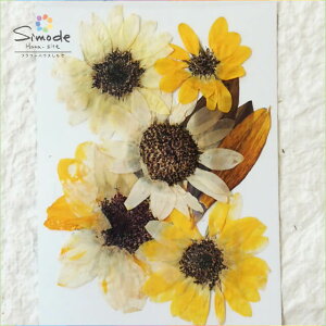 yAiEAEgbgzԁ@Ђ܂5iF|18jԊz⃌WANZT[ȂǃnhChfނƂĐlCł˂Ŏ肵Ă܂BYïSiłI