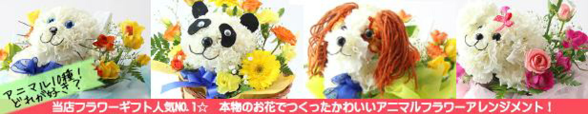 まるでぬいぐるみみたいなアニマルフラワーアレンジメント。トイプードルやシュナウザー、キャバリア・キング・チャールズ、パグなどの犬、白ネコ、三毛猫、パンダ、うさぎなど約10種のアニマルフラワーがそろっています。すべて生花でできています。