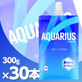 アクエリアス ハンディパック 300g 30本 北海道内送料無料・メーカー直送・代引不可/コカコーラ