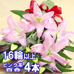 オリエンタルリリー 生花の人気商品 通販 価格比較 価格 Com