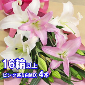 百合の花束 4本 16輪以上保証 ピンク＆白MIX お祝 ギフト 大輪系オリエンタルリリー