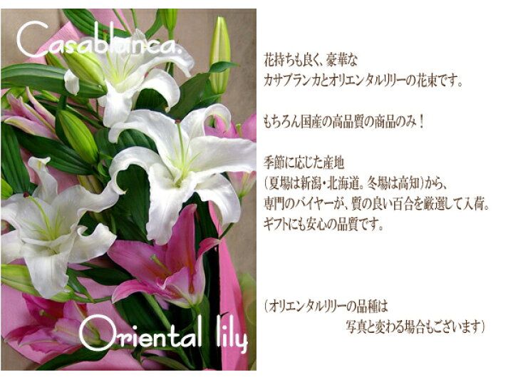楽天市場 カサブランカ福袋 カサブランカとピンク百合の花束 御祝 記念日 誕生日 御供 カサブランカ 百合 ユリ 父の日 フラート 楽天市場 カサブランカ福袋 カサブランカとピンク百合の花束 御祝 記念日 誕生日 御供 カサブランカ 百合 ユリ 父の日 フラート