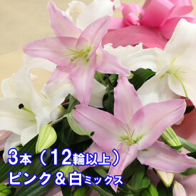 花 花束 ユリ 百合の花束 ピンク＆白MIX お祝 ギフト 正月 年賀 クリスマス お供 大輪系オリエンタルリリー 3本または4本のどちらかをご選択下さい