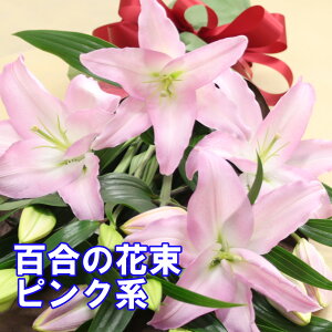  ԑ  S̉ԑ sNn j hV̓ Mtg ~  ֌nIG^[   sNS@3{A܂4{̂ǂ炩I