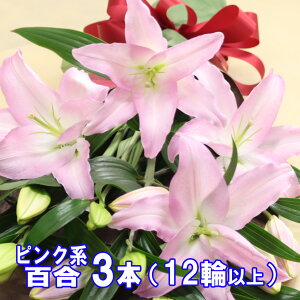  ԑ  S̉ԑ sNn j  N Mtg ~  ֌nIG^[   sNS@3{A܂4{̂ǂ炩I