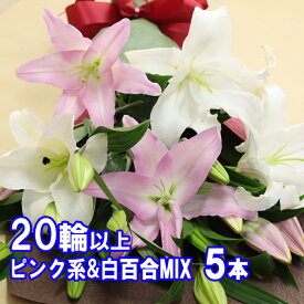 花 花束 ユリ 百合の花束 5本 20輪以上保証 ピンク＆白MIX お祝 正月 年賀 ギフト お盆 お供 大輪系オリエンタルリリー ゆり