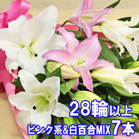花 花束 ユリ 百合の花束　白＆ピンクMIX7本 28輪以上保証 父の日 母の日ギフト ご予約 お祝 ギフト お盆 お供 大輪系オリエンタルリリー ゆり ユリ