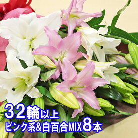 百合の花束 8本 32輪以上保証 ピンク＆白MIX 母の日 お祝 ギフト 大輪系オリエンタルリリー ゆり ユリ