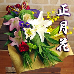 ̉ԁ@ԑuDv  ԑ    tO S Ε N