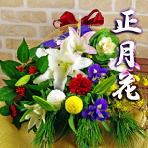 ̉ԁ@ԑui݂сjv ԑ    tO Ε N