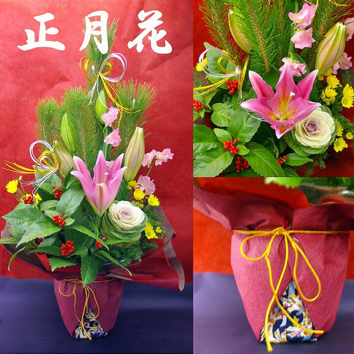 楽天市場 お正月のフラワーアレンジ 若松 正月 花 フラワーアレンジメント アレンジ 生花 お正月飾り 松 葉牡丹 お歳暮 お年賀 フラート