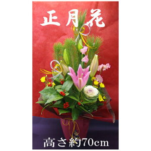 ̃t[AWuᏼv   t[AWg AW    tO Ε N