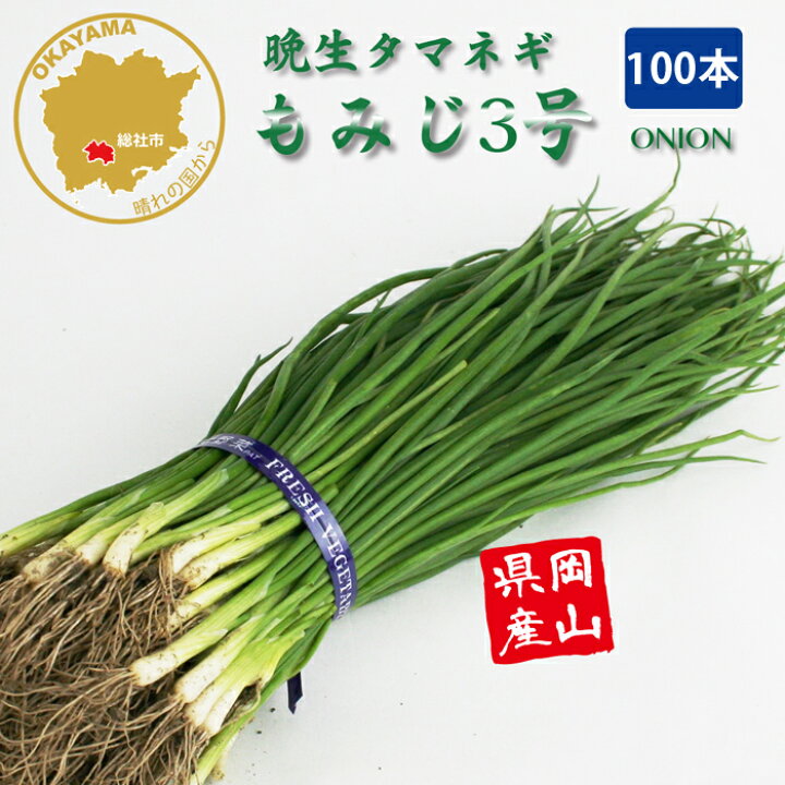 楽天市場】タマネギ もみじ3号 晩生 野菜苗 100本 岡山県産 たまねぎ苗 