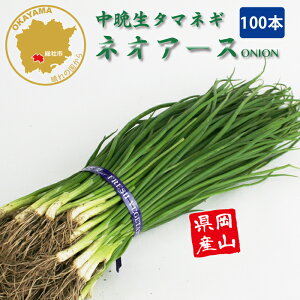 ^}lM lIA[X Ӑ ؕc 100{ RY ܂˂c t[u[̕c yc ^}lM ʂ˂ ʔK ܂˂c ʂ˂c Ӑz