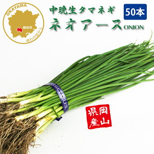 タマネギ ネオアース 中晩生 野菜苗 50本 岡山県産 たまねぎ苗 フラワーブルームの苗 【苗 タマネギ 玉ねぎ 玉葱 たまねぎ苗 玉ねぎ苗 中晩生】