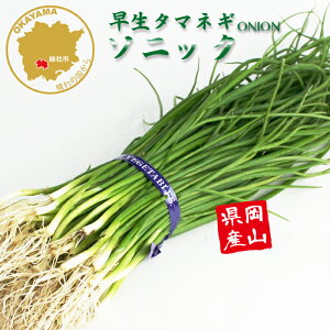 ^}lM \jbN  ؕc 100{ RY ܂˂c t[u[̕c yc ^}lM ʂ˂ ʔK ܂˂c ʂ˂c 킹  z