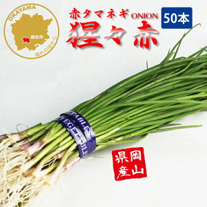 ԃ^}lM ́X Ӑ ؕc 50{ RY ܂˂c t[u[̕c yc ^}lM ʂ˂ ʔK ܂˂c ʂ˂c red Ӑz