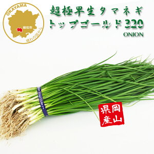 ^}lM gbvS[h320 ɑ ؕc 100{ RY ܂˂c t[u[̕c yc ^}lM ʂ˂ ʔK ܂˂c ʂ˂c ɑ z