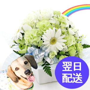 ガーデニング 犬 生花の人気商品 通販 価格比較 価格 Com