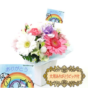 y ybg   z QI ybg   E      Ȃ   ފ Ƀsb^ AWg t[ ybg ݁@Petit v` 