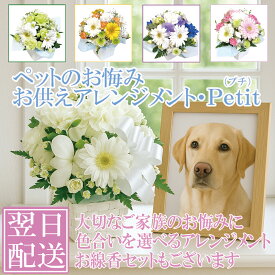 【 ペット お供え 花 】花 持ち抜群！ ペット の お供え ・ お悔やみ 花 命日 の お花 、その他 お供え お悔やみ お彼岸 にピッタリな アレンジメント フラワー ペットの お悔やみ　Petit プチ 【翌日配送15時】【本州一部送料無料】