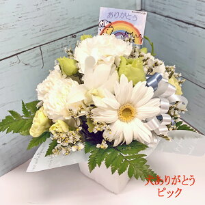 y ybg   z QI ybg   E      Ȃ   ފ Ƀsb^ AWg t[ ybg ݁@Petit v` 