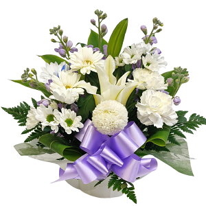 AWEXyNg y z    z 䋟     ފ  @ ybg ~ ފ z