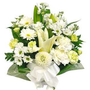 AWEXyNg y z    z 䋟     ފ  @ ybg ~ ފ z