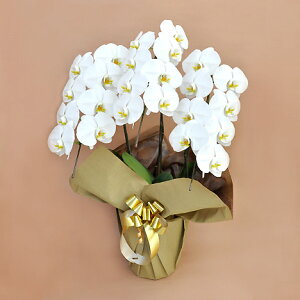 Ӓ  3{ i21ֈȏjy͂3ȍ~zyMtgEӒEEEaEJXEړ]EACEjEjEEEԁz