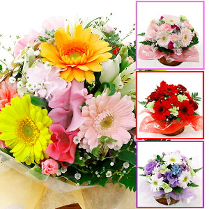 花 送料無料 アレンジメントフラワー 生花の人気商品 通販 価格比較 価格 Com 花 送料無料 アレンジメントフラワー 生花の人気商品 通販 価格比較 価格 Com