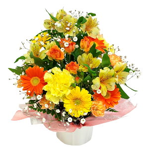 G߂̃AWEgFn yMtg 蕨 AWg @l ސE JXj v[g AWt[  az