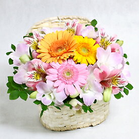 楽天市場 可愛い 種類 花器 バスケット カゴ フラワーアレンジメント 花 観葉植物 花 ガーデン Diyの通販