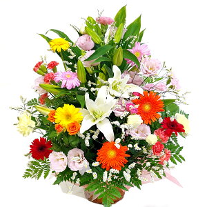 ���C���A�����W�����g�EPrecious