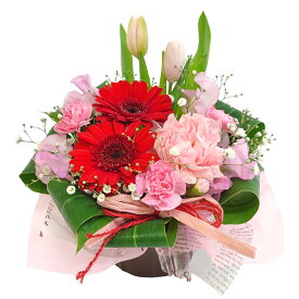 2月のアレンジA　【毎月変わるデザイン・花材で大人気 お誕生日や結婚記念日などに】