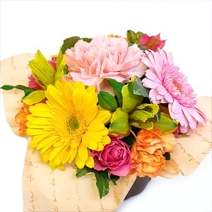 hV̓@CAWgEMinnie  z  ԑ a z  t[AWg a LO Mtg t[  j ސE   w  ̓ ̓ h