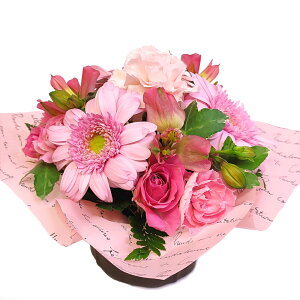 hV̓@CAWgEMinnie  z  ԑ a z  t[AWg a LO Mtg t[  j ސE   w  ̓ ̓ h