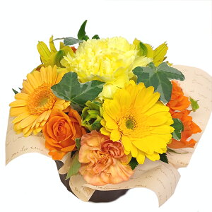 hV̓@CAWgEMinnie  z  ԑ a z  t[AWg a LO Mtg t[  j ސE   w  ̓ ̓ h