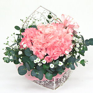 AWgEt@V[ sN y Mtg t[AWg a  z