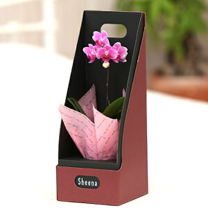 {BꕔI }CNӒBOX(A-141)y͂4ȍ~z