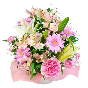 ԗDǃVbvy  zy  ŃIXX zC AWg  ԑ ESweetiey  Mtg y  a AWg a Mtg j 蕨z