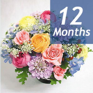 y ցz y ցzy  AWgzG߂̃AWEfbNX-12-