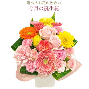 y t[ AWg z C AWg  ԑ ECutiey o[Xf[ LO a  j ̂ z z Mtg AW ԑ v[g t[Mtg  ɂ 