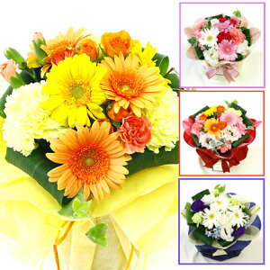 生花 チューリップ 花束の人気商品 通販 価格比較 価格 Com