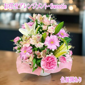 ԗDǃVbvy  zy  ŃIXX zC AWg  ԑ ESweetiey  Mtg y  a AWg a Mtg j 蕨z