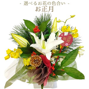 ԗDǃVbvy  zy  ŃIXX zC AWg  ԑ ESweetiey  Mtg y  a AWg a Mtg j 蕨z