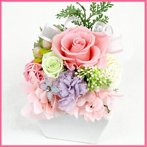 ygNIz vU[uhAWEO y vU[uht[ jɂɂI svŕ֗z  ԃMtg a vU[uh 蕨 v[g j 