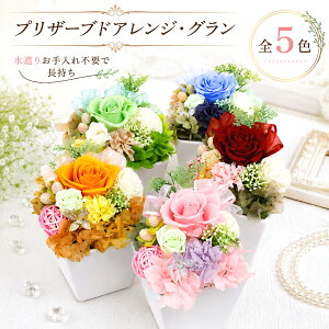 【おトク！】 プリザーブドアレンジ・グラン 【 プリザーブドフラワー お祝い お手入れ不要で便利】 お花 花ギフト 誕生